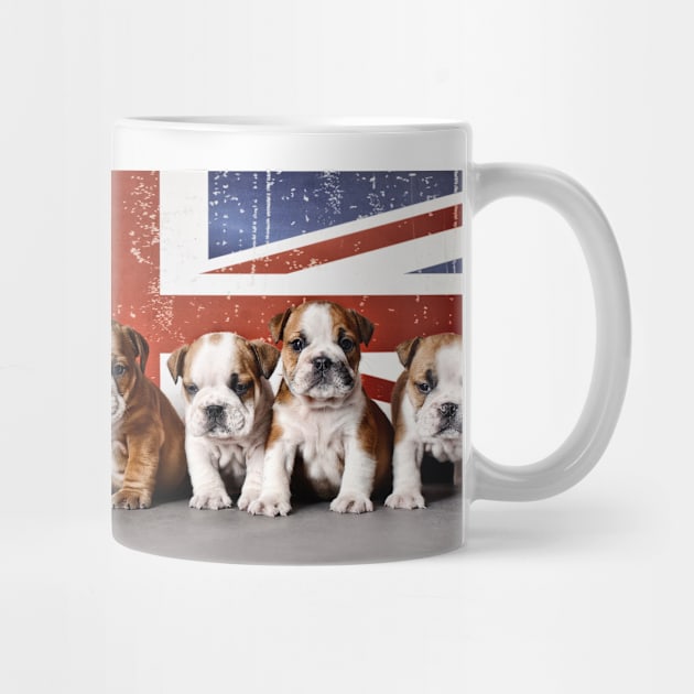 Bulldog puppies by PetsArt